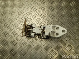 Fiat D325-8C / D3258C Ducato X290 2020 Durų lankstas