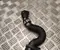 Opel 9849655080 FRONTERA (OV24) 2025 Conducto del refrigerante - Imagen 2