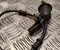 Mercedes-Benz 24071160243, 1705401317 SLK (R170) 2004 Sensor, Raddrehzahl - Bild 2