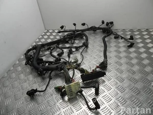 BMW 8514566 4 coupe (F32, F82) 2014 Kable silnikowe