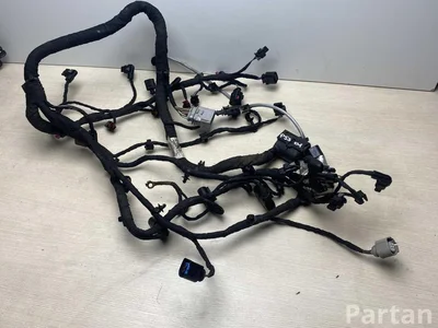 Volkswagen 05E972610B Golf VIII (CD1) 2021 Variklio skyriaus laidai - Paveiksliukas 1