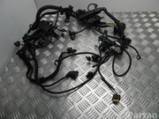 BMW 8644495 X1 (F48) 2016 Engine harness