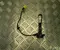 Gebrauchtes Original Mercedes-Benz A 205 906 00 02 / A2059060002 C-CLASS (W205) 2015 Airbag Fußgängerschutz - Bild 1