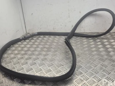 XPeng P7 2025 Door Seal Left Front - Image 1