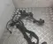 Hyundai GI020AA Ioniq 5 NE 2025 Harness - Image 1