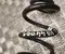 Gebrauchtes Original Audi 8W0511115EQ A4 Avant (8W5, B9) 2020 Feder hinten - Bild 3