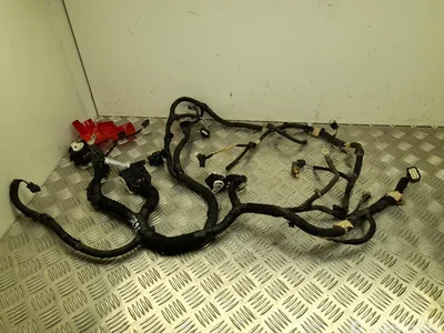 Ford USA LJ8T-12B637-NBH / LJ8T12B637NBH Mustang Mach-E 2022 Harnais - Image 1