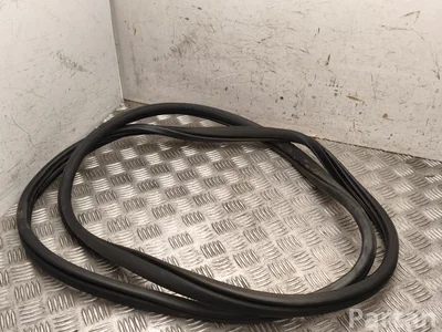 BAIC X75 2025 Junta de puerta Left Front - Imagen 1