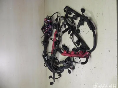 Audi 8K0 973 724 / 8K0973724 A5 (8T3) 2009 Variklio skyriaus laidai - Nuotrauka 1