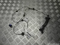 Ligier 1417542C JS 60 2022 Harness for interior Door