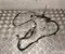 Toyota 82153-47420 / 8215347420 PRIUS (_W6_) 2024 Harnais pour intérieur Porte - Image 2