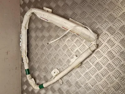 Ford AM51-R14K159-AG / AM51R14K159AG C-MAX II (DXA/CB7, DXA/CEU) 2017 Airbag de tête - Image 1