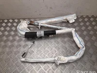 Dodge P68161579AJ RAM IV 2500 2017 Airbag de tête