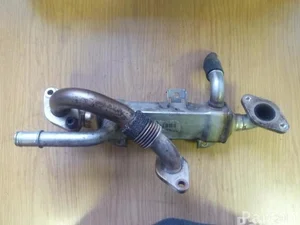 Seat 038 131 513 L / 038131513L ALHAMBRA (7V8, 7V9) 2005 Refroidisseur