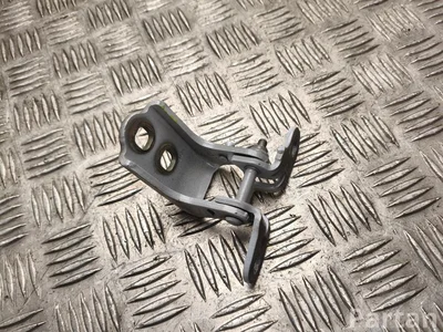 Renault 804006450R MEGANE E 2023 Bisagra de puerta Right Front - Imagen 1