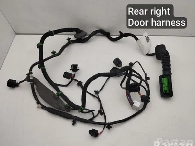 Porsche 971971122B, 971974294B PANAMERA (971) 2018 Harnais pour intérieur Porte - Image 1