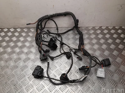 Volkswagen 5QE972627AK GOLF VII (5G1, BQ1, BE1, BE2) 2020 Fils du compartiment moteur - Image 1