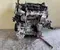 Opel YH01 Corsa F 2021 Visas variklis - Paveiksliukas 3