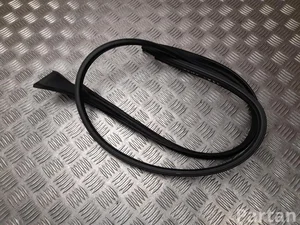 Polestar 80008111 4 2025 Durų stiklo sandariklis kairė