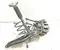 Tesla 1044416-00-F, 1044461-02-D, 1044431-00-G, 1044421-00-G / 104441600F, 104446102D, 104443100G, 104442100G MODEL 3 2018 Hinterer Radlagergehäuse komplett rechte Seite - Bild 2