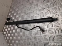 Ford LV4B-S402A55-AF / LV4BS402A55AF Kuga III 2024 Ressort à gaz