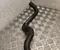Gebrauchtes Original Opel 39144346 INSIGNIA B Caravan (Z18) 2023 Kühlmittelleitung - Bild 2