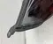 Hyundai 92101G2200, 00226137 IONIQ (AE) 2021 Faro derecha - Imagen 3
