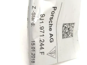 Porsche 9J1971244F Taycan 2023 Câbles de batterie