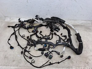 Land Rover H4P314A099, H4P312A690, H4P39D930 RANGE ROVER VELAR (L560) 2021 Fils du compartiment moteur