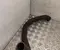 Gebrauchtes Original BAIC X75 2025 Kühlmittelleitung - Bild 2