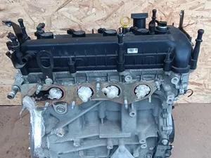 Ford RFCM5E6015CA, RFCM5E6015, CHEP046 C-MAX II (DXA/CB7, DXA/CEU) 2013 Motor completo