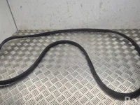 Nissan Ariya 2024 Door Seal Left Front