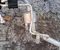 Citroën 9839376380 C5 AIRCROSS (A_) 2019 air conditioning, hoses/Pipes - Image 2