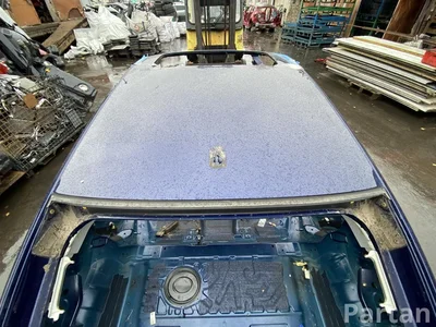 Audi A7 Sportback (4GA, 4GF) 2014 Dach - Bild 1