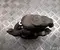 Lexus ES VII XZ10 2021 Brake Caliper Right Rear - Image 2