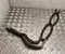 Gebrauchtes Original Opel 9840440980 Grandland 2025 Kühlmittelleitung - Bild 2