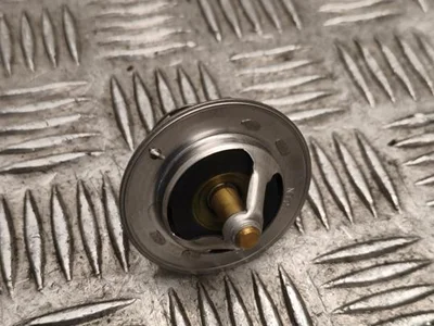 Opel 346785D, 1338075 VECTRA B (36_) 2002 Termostatas - Paveiksliukas 1