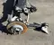 Opel INSIGNIA B Sports Tourer (Z18) 2023 rear axle beam - Image 2