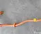 Hyundai 91662-GI010 / 91662GI010 Ioniq 5 NE 2021 Įkrovimo kabelis - Nuotrauka 2