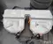BMW 9884547 ; 8840390 ; 9494040 / 9884547, 8840390, 9494040 5 (G30) 2021 Batterie - Bild 1