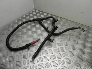 BMW 7590245 5 (F10) 2015 Câbles de batterie