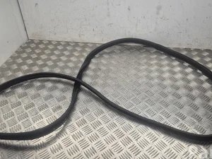 Nissan Ariya 2024 Door Seal Left Rear