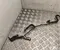 Volkswagen 3Q0 121 064 BE / 3Q0121064BE PASSAT B9 Variant (CJ5) 2024 Pipe, coolant - Image 2