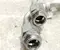 Gebrauchtes Original Jeep 68448242AA, 83445C Wagoneer/ Wagoneer L WS 2023 Ölschläuche/-leitungen - Bild 3