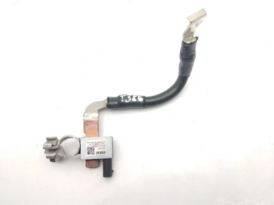 BMW 5A29A11, 5A29A11-01 / 5A29A11, 5A29A1101 i4 (G26) 2023 Câbles de batterie - Image 1