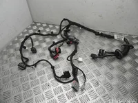 Jaguar EW93-14631-BC / EW9314631BC XJ (X351) 2016 Harnais pour intérieur Porte