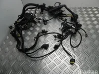 BMW 8644495 X1 (F48) 2016 Cables de la sección de motor