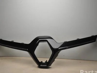 Renault 623103685R KADJAR (HA_, HL_) 2017 Grillades - Image 1