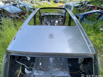 Audi Q7 (4M) 2017 Toit - Image 1