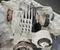 Audi 0G2500043D A4 Avant (8W5, B9) 2020 Reductor del eje trasero - Imagen 2